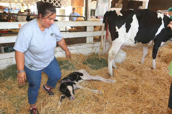 Kings Fair opens on Thursday